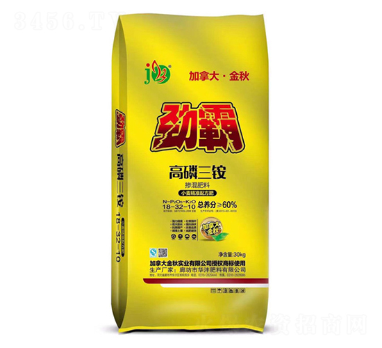 ������鱗������-����-�������