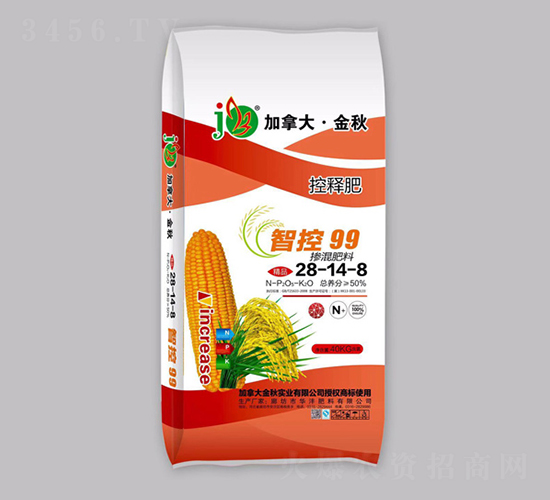 �ǿ�99�������28-14-8-���ô󡤽���-�������