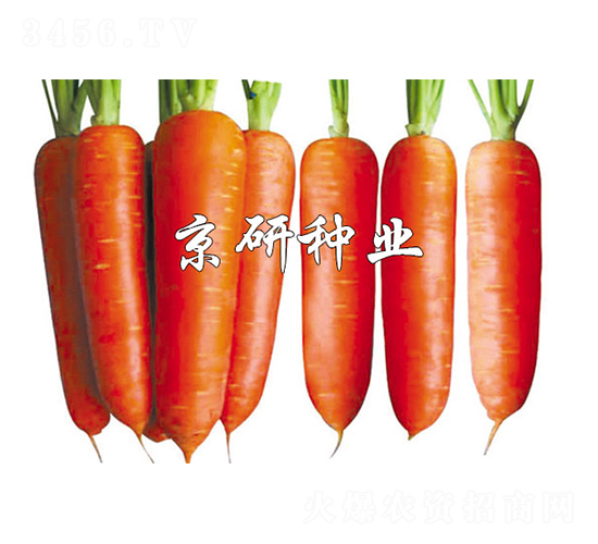 ����208-���ܲ�����-����