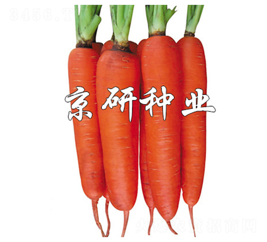 ����238-���ܲ�����-����