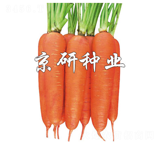 ����258-���ܲ�����-����