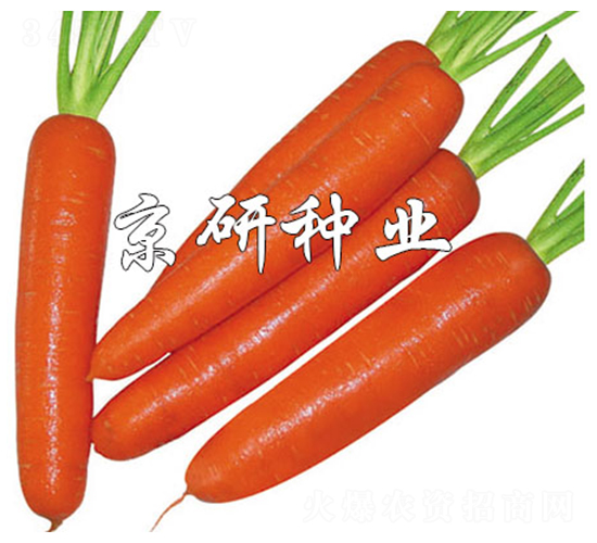 ����268-���ܲ�����-����