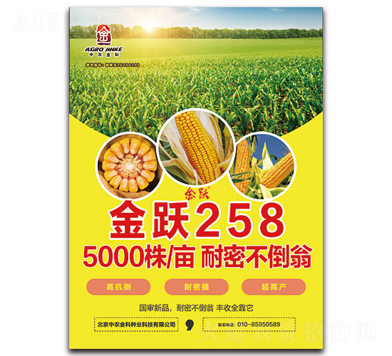 ��Ծ258-��������-��ũ���