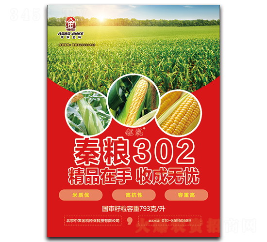 ����302-��������-��ũ���