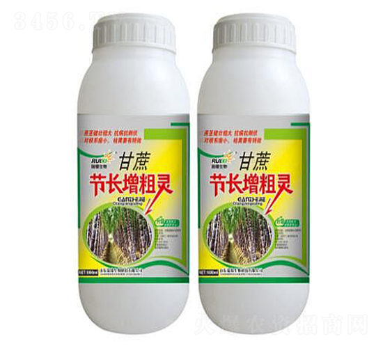 ����ڳ����ַ�-��������