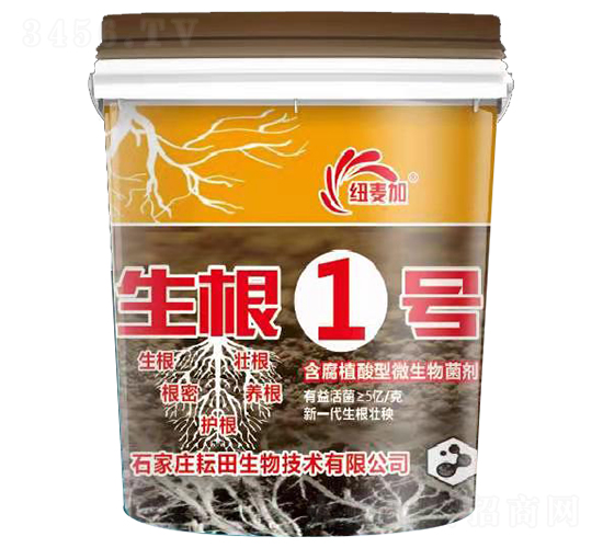 ����1��-Ŧ���-��������