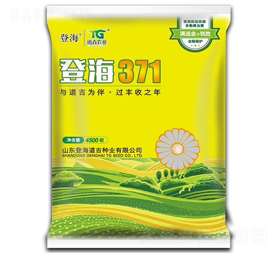 �Ǻ�371-��������-�Ǻ�����