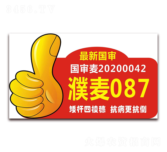 ���087-С������-������