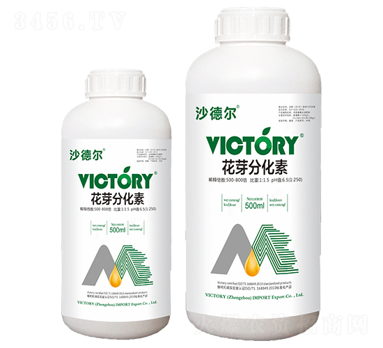500ml��ѿ�ֻ���-ɳ�¶�-ά������