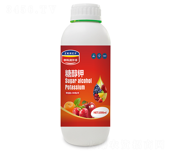 �Ǵ���-�п������