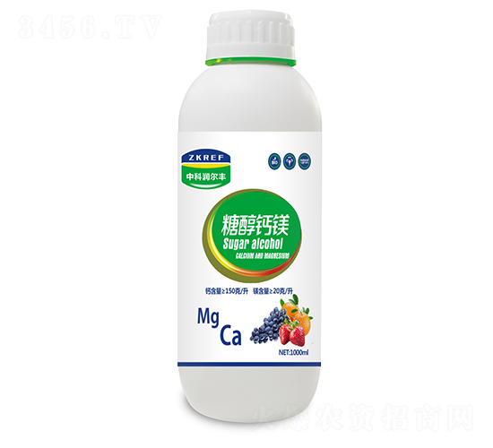 �Ǵ���þ-�п������