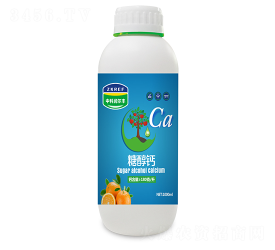 �Ǵ���-�п������
