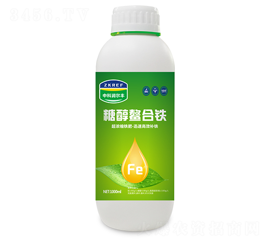 �Ǵ�������-�п������