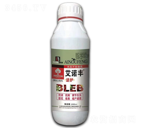 �滤-��ŵ��