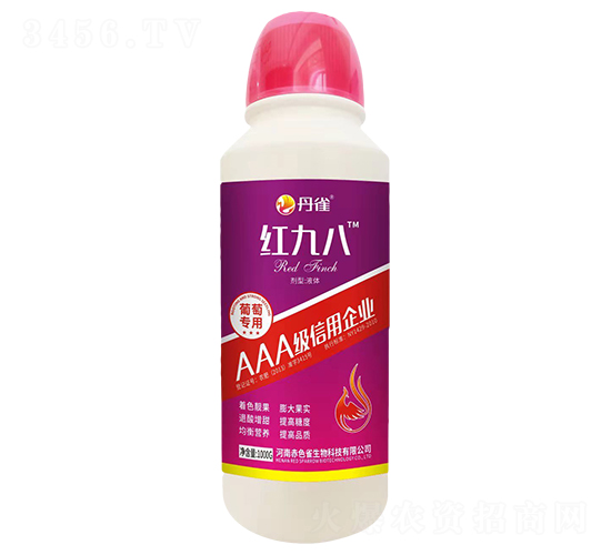 ����ר��Ҷ���-��Ű�-��ȸ