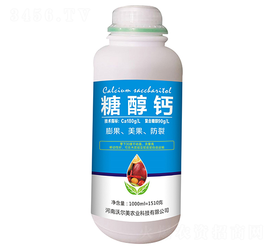 �Ǵ���-�����ֶ���