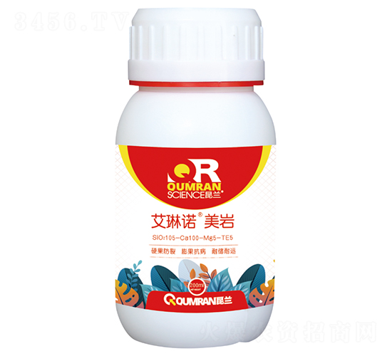 ����ŵ-����-�����Ƽ�