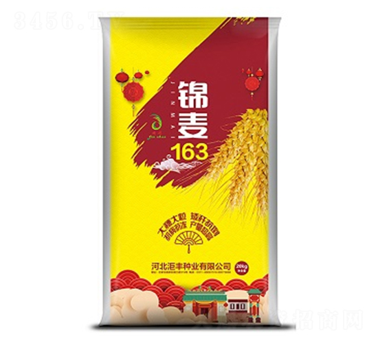 ����163-С������-������ҵ