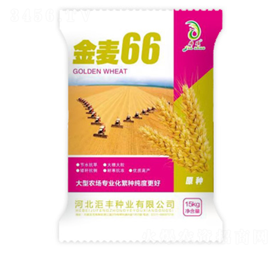 ����66-С������-������ҵ