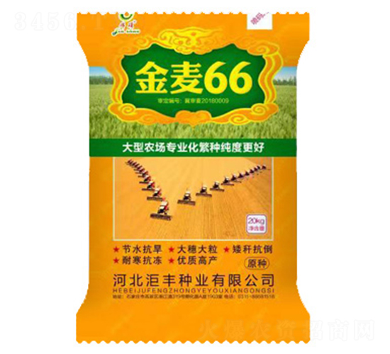 ����66��20kg��-С������-������ҵ