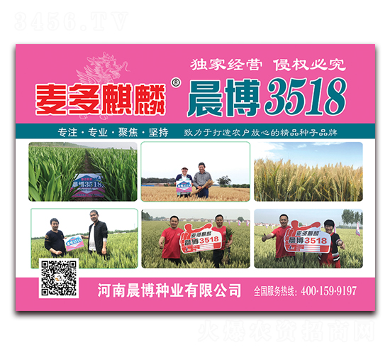 ������볿��3518-С������-������ҵ