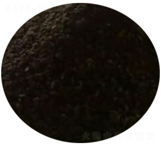 �ɼ���-�������