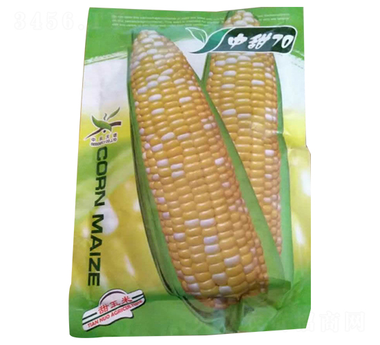 ����70-��������-������ҵ