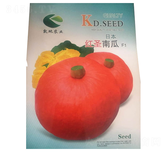 �ձ���ʥ�Ϲ�-�Ϲ�����-������ҵ