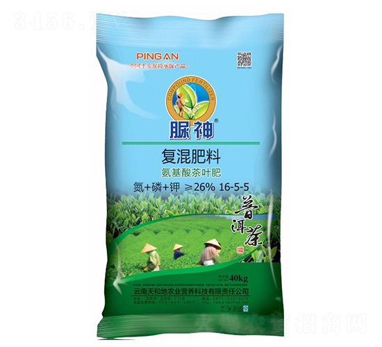 ��Ҷר�ø������16-5-6-����-����