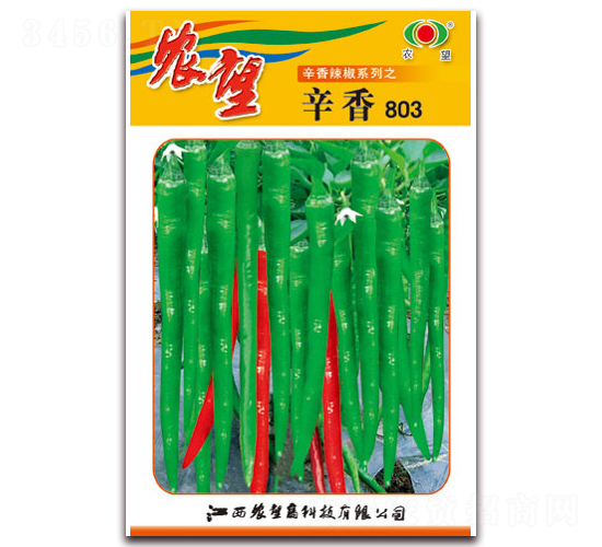 ����803-�߽�����-ũ��