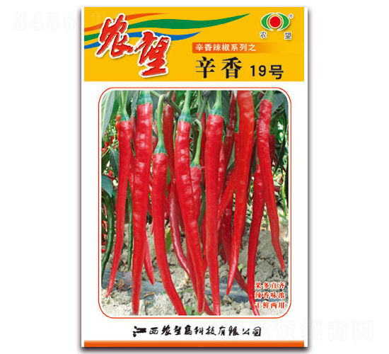 ����19��-�߽�����-ũ��