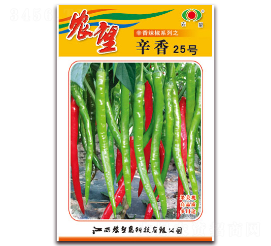 ����25��-�߽�����-ũ��