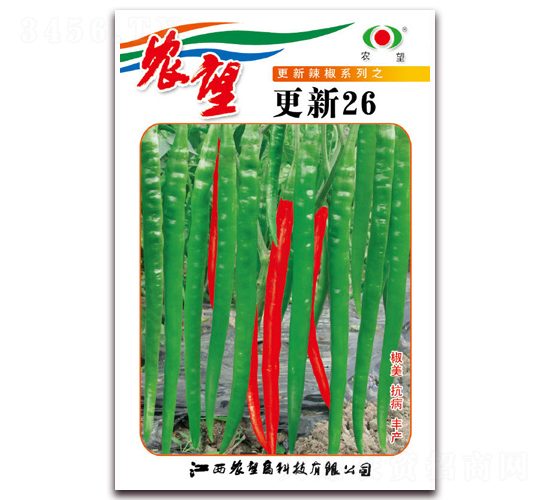 ����26-�߽�����-ũ��