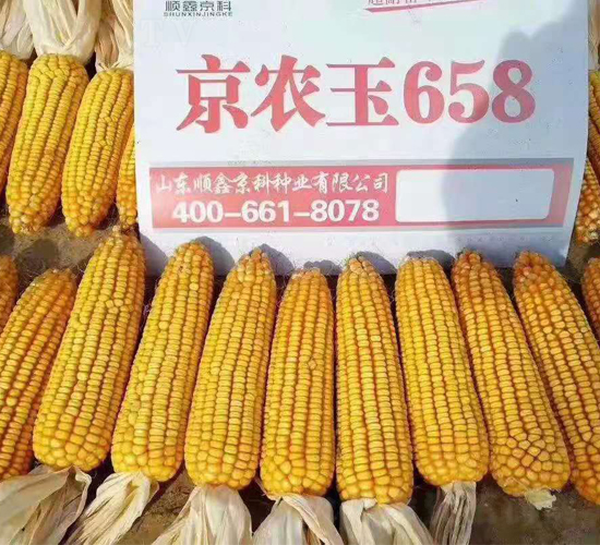 ��ũ��658-��������-ũ����