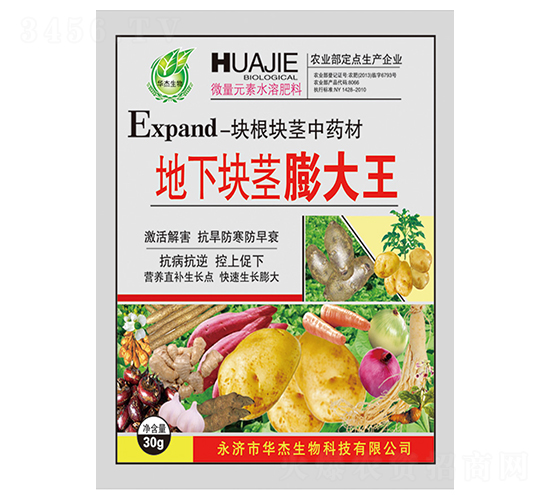 ���¿龥�����-��������