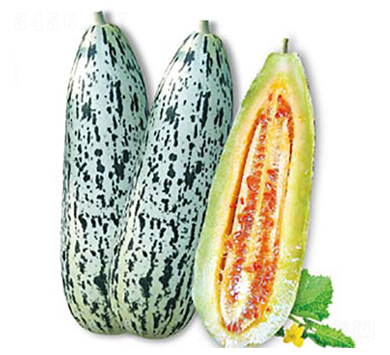 �����-�������-�߶���ҵ