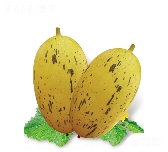 �Ҹ�������-�������-�߶���ҵ