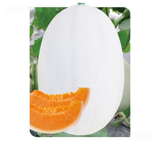 �ش󶫷���1��-�������-�߶���ҵ