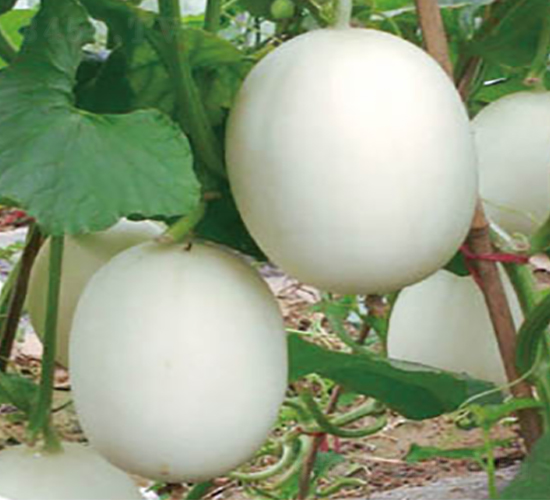 �ش����-�������-�߶���ҵ