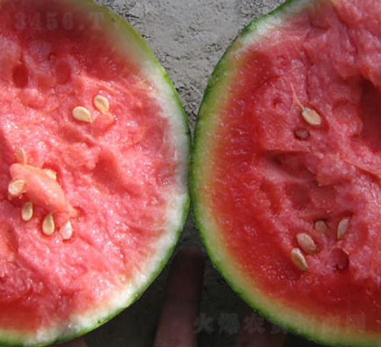 �н�����-��������-�н���ҵ