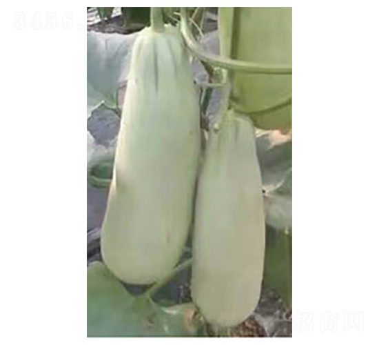 ������Ǵ�-�������-�߶���ҵ
