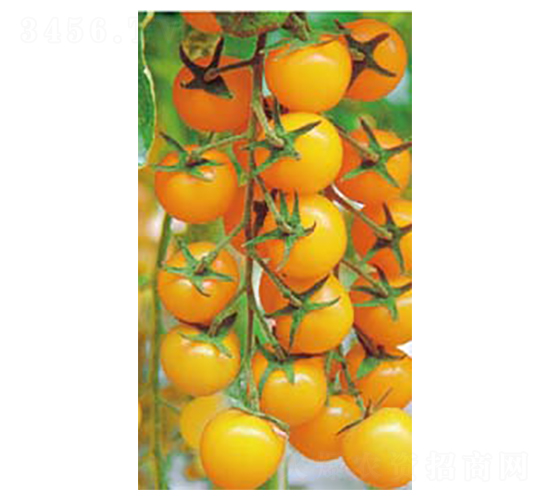 �ƽ�һ��-С��������-�߶���ҵ