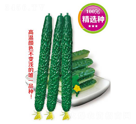 ���������߲���-�ƹ�����-�߶���ҵ