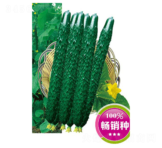 �̷�����106-�ƹ�����-�߶���ҵ