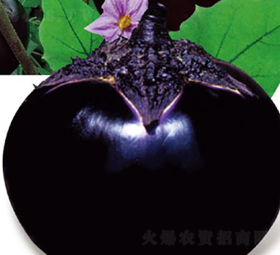 ���µ�һ������-��������-�߶���ҵ