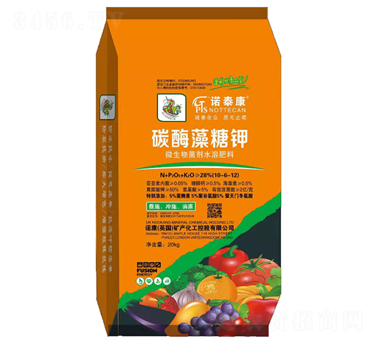 ̼ø���Ǽ�-ŵ̩��-�ൺŵ��