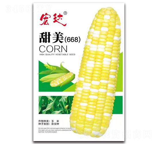 ����668-��������-���