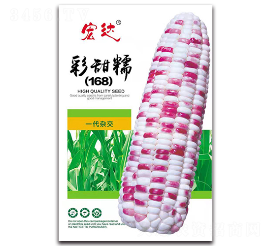 ����Ŵ168-��������-���