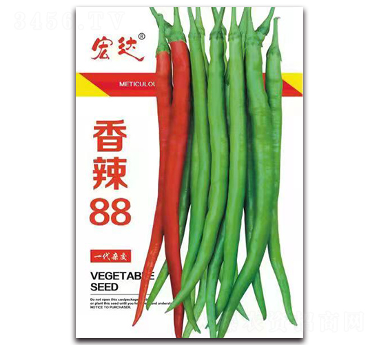 ����88-��������-���
