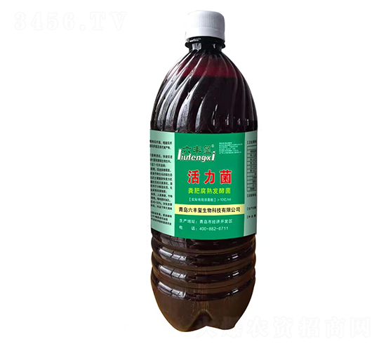 ��ʸ��췢�;�-������-������